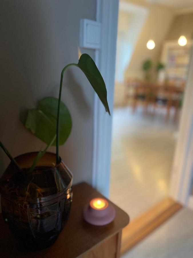 Charming Apartment In Alesund Center With Free Parking Ngoại thất bức ảnh